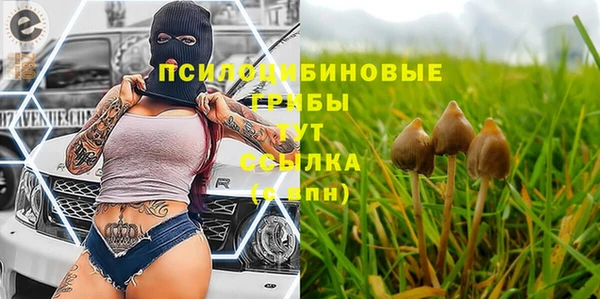 скорость Нязепетровск