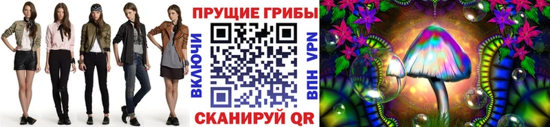 Галлюциногенные грибы Psilocybine cubensis  Кедровый 